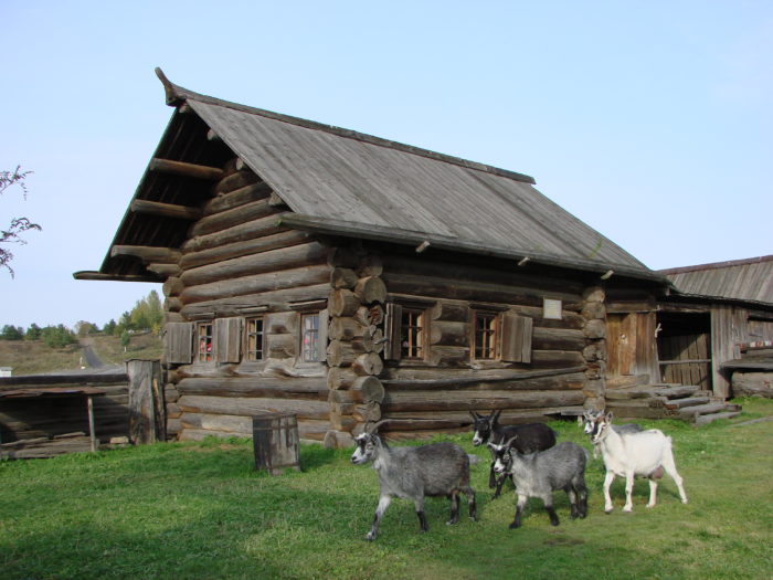 Изба из усадебного комплекса